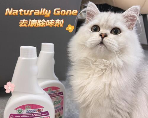 除去猫尿味的妙招（宠物爱好者必备，轻松消除异味！）