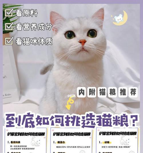 新手铲屎官的猫咪洗澡指南（从准备到清洗，教你正确给猫咪洗澡）