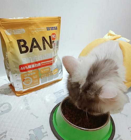 一岁的猫必须换成猫猫粮吗？（探讨成年猫咪的饮食需求及健康问题）