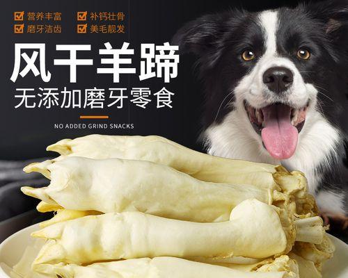 探究影响宠物狗狗食欲的三大方面（从环境、身体健康和心理因素三个角度分析）