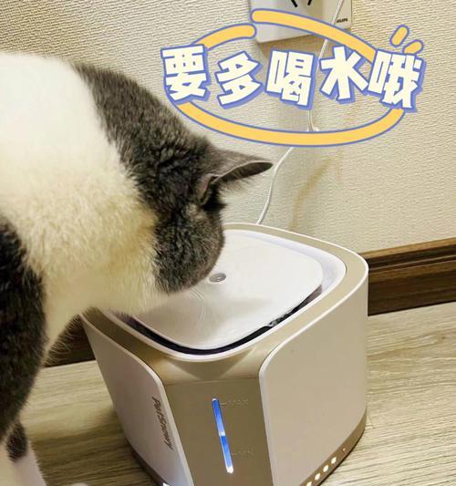 如何让宠物猫咪多喝水？（掌握这些方法，让猫咪爱上喝水）