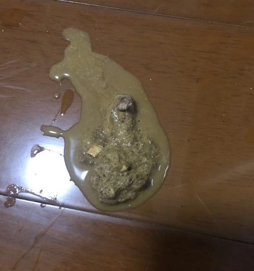 怎么应对宠物猫咪呕吐频繁且伴有血腹泻的问题？（探索猫咪呕吐频繁且伴有血腹泻的原因及处理方法）