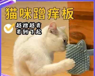 你的猫咪为什么总是蹭你？（探究猫咪蹭人行为的原因和意义，以及如何正确回应）