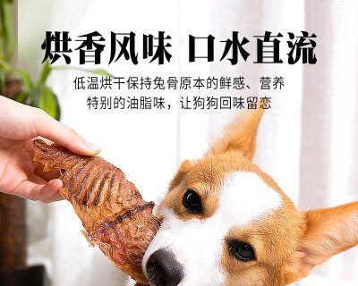 狗狗健康食谱——煮骨头（如何为宠物煮出营养丰富的骨头汤）