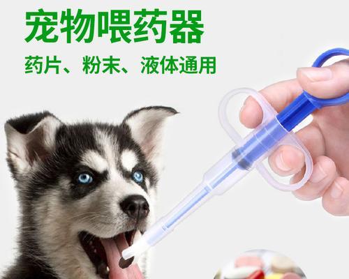 解决狗狗呕吐拉稀的实用药品（让宠物恢复健康的良方）