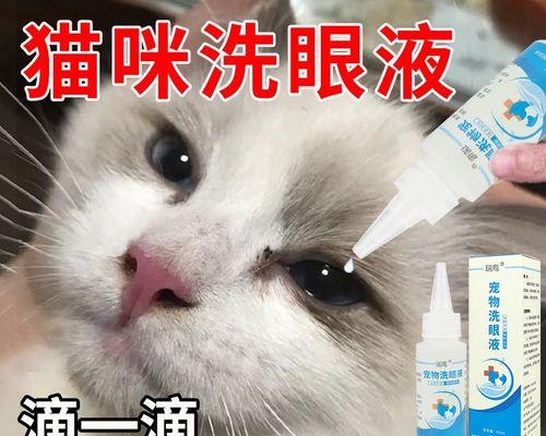 如何预防和治疗猫咪眼屎过多问题（猫咪的健康问题）