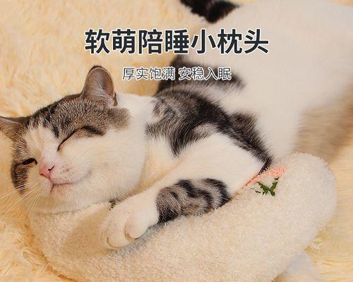 猫咪睡眠时间的正常范围（探究猫咪的睡眠习惯和睡眠时间）