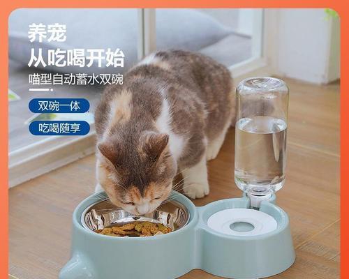 猫咪遇水应该注意什么（了解猫咪遇水的症状和预防措施）