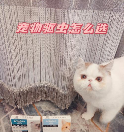 如何让宠物猫咪正确地吃驱虫药（猫咪驱虫药的种类）