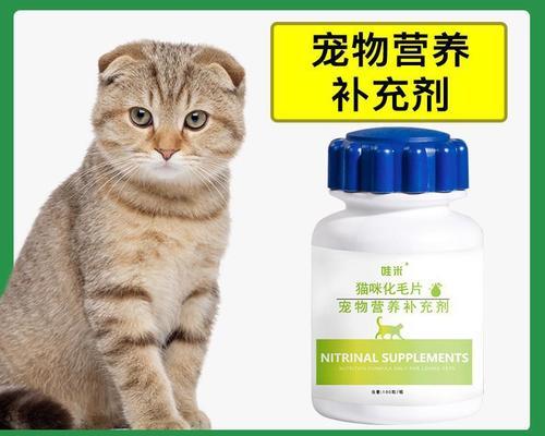 宠物猫为何到处小便（探究猫咪小便问题的原因和解决方法）