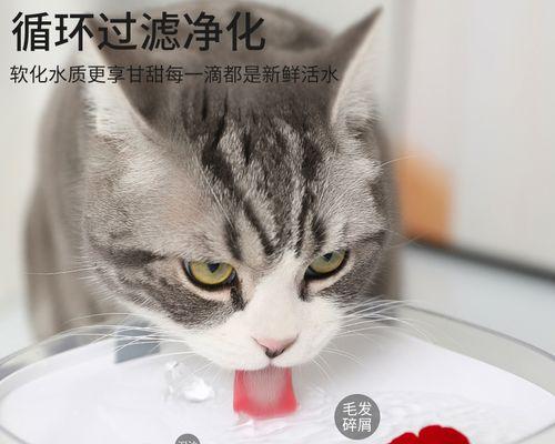 猫咪自动喂水器推荐（方便宠物饮水）