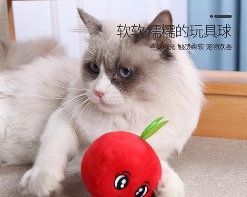 毛绒玩具猫咪给家带来的不吉利（宠物家居必备）