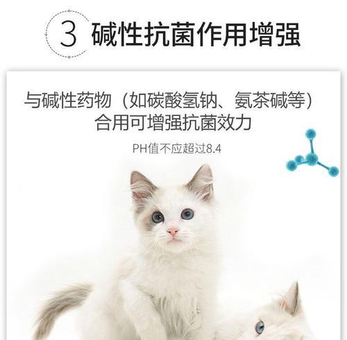 小猫眼药水的选择与使用（了解眼部问题）