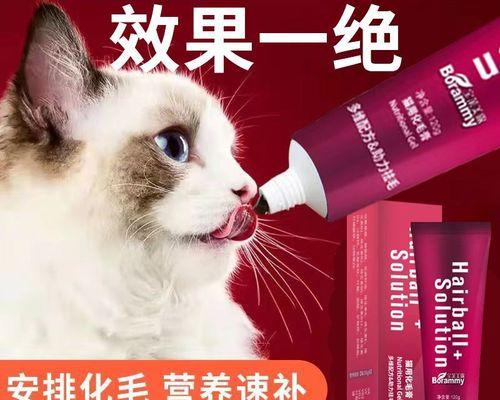 小猫第一次脱毛的经历（宠物护理中的必修课——如何帮小猫脱毛）