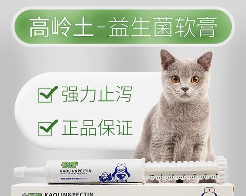 小猫拉稀，怎么办（宠物肚子不舒服）