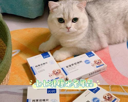 以小猫福来恩要滴多少（探讨宠物健康）