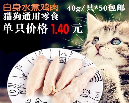 如何给宠物小猫提供饮食（掌握小猫饮食知识）