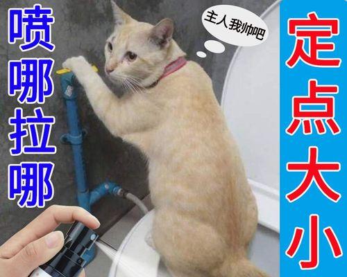 小猫便便偏软（细致分析小猫拉软便的原因和解决方案）