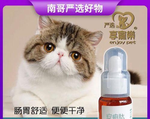 小猫拉肚子带血，宠物主人必看的处理方法（如何处理小猫拉肚子带血的情况）