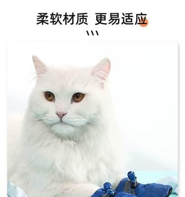 猫咪咬脚的原因和解决方法（宠物猫咪为什么老是咬主人脚）