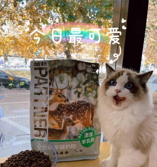 喵味十足——以猫咪奶糕为主角的宠物美食（多种口味任你选）