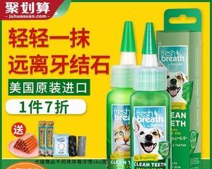 猫咪凝胶——宠物健康必备（探秘猫咪凝胶的功效和用途）