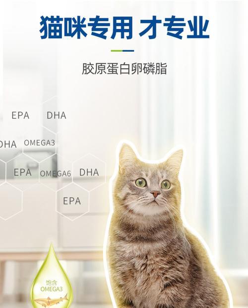 猫咪健康之必需营养物质——牛磺酸