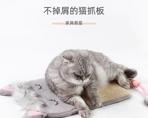 如何让猫咪喝足一天的水（掌握猫咪喝水量的窍门）