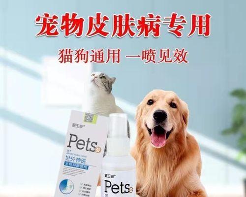 宠物犬的常见病症及治疗（药物治疗宠物犬病症的注意事项）