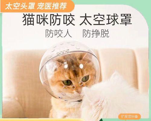 为什么亲猫咪舔（探究猫咪舔的原因与意义）