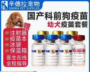 宠物狗必知的三联和四联疫苗，保障健康从现在开始（给爱犬注射疫苗）