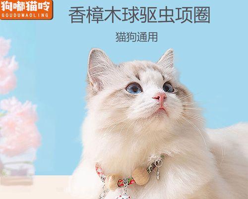 如何避免家养猫咪长跳蚤（宠物的健康需要重视）