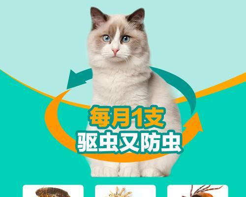 如何为你的宠物猫咪正确地服用驱虫药（教你如何保障猫咪健康）