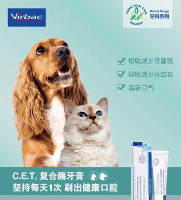 猫0肾结石手术费用详解（以宠物为主的手术费用分析）