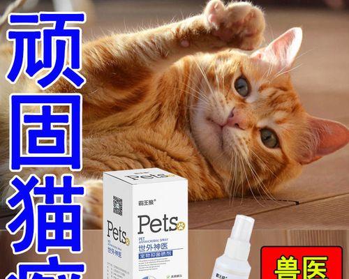 猫儿皮肤病大揭秘（以猫长癣怎么办用什么药）