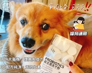 狗狗益生菌对猫咪是否安全（探讨狗狗益生菌在猫咪身上的功效和副作用）