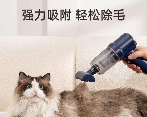 以猫生第一只小猫要多久（揭秘宠物猫的生育周期和注意事项）