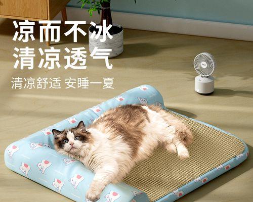 如何为你的猫准备一个舒适的猫窝（以猫生小猫为例）