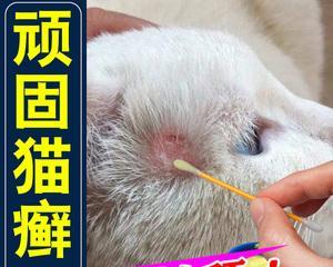 猫癣人得了，该如何治疗（以宠物为主）