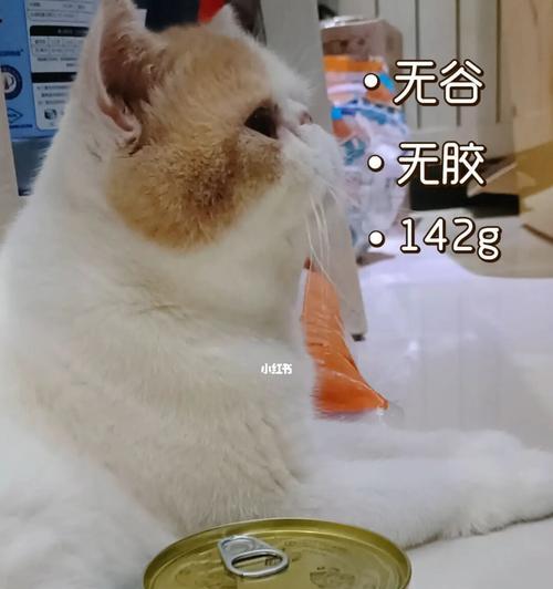 从宠物猫咪不爱吃罐头说起（如何让猫咪喜欢上罐头）