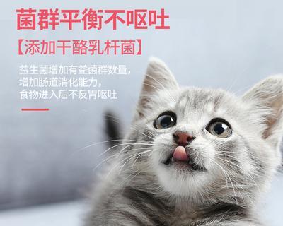 如何科学控制猫咪肠胃宝的用量（宠物健康与主人关爱的故事）