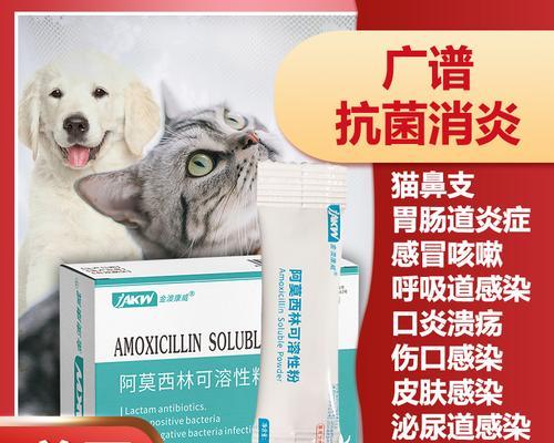 猫咪吃阿莫西林有害（了解宠物吃药的注意事项）