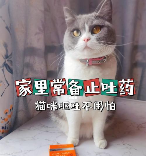 猫咪喝酒精会引发呕吐（宠物酒精中毒的危害及预防方法）