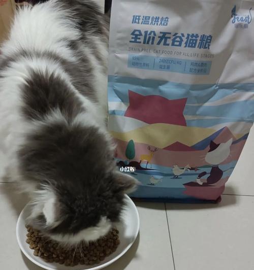 猫咪食用鸭肉脱水的处理方法（宠物主人必看）