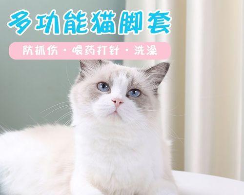 猫咪穿鞋子脚掌肿了，如何避免（关注猫咪的脚掌健康）