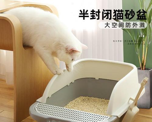 揭秘猫咪进猫砂盆的神秘世界（探究胆小猫咪如何适应进入猫砂盆的过程）