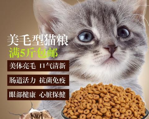 猫咪何时可以开始吃成年猫粮？