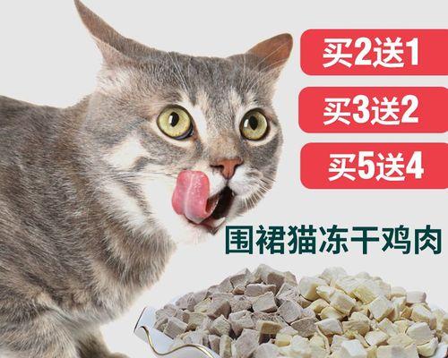 一个多月大的猫咪每天应该吃多少猫粮（宠物喂养指南）