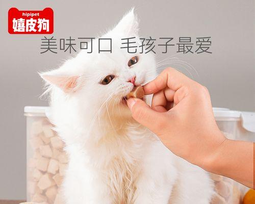 可以给猫咪吃幼犬狗粮吗（幼犬狗粮对猫咪的影响和注意事项）