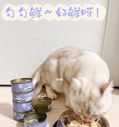 小猫能否食用罐头（3个月宠物猫的饮食需求解析）